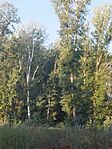 IMG_20240901_071741