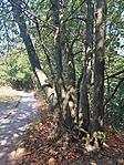 IMG_20240901_110440