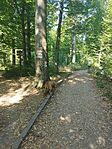 IMG_20240901_110808