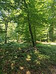 IMG_20240901_111853