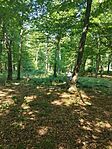 IMG_20240901_111556