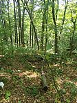 IMG_20240901_115819
