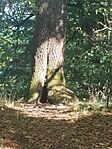 IMG_20240901_120623