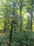 IMG_20240901_115939