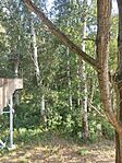IMG_20240901_165459