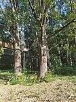 IMG_20240901_165924