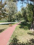 IMG_20240901_151217