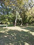 IMG_20240901_151220