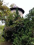 IMG_20240925_113329
