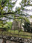 IMG_20240925_113605