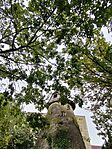 IMG_20240925_113650