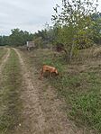IMG_20240926_104651