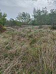 IMG_20240926_104725
