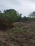 IMG_20240926_104740