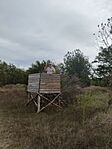 IMG_20240926_104859
