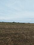 IMG_20240926_105152