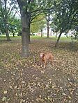 IMG_20240926_101555
