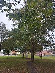 IMG_20240926_101655