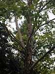 IMG_20240926_101949