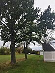 IMG_20240928_112432