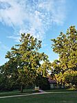 IMG_20240927_175112