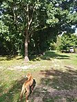 IMG_20240927_150645