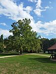 IMG_20240927_150710