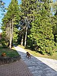 IMG_20240927_162924