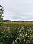 IMG_20240928_125006