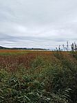 IMG_20240928_125003