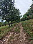 IMG_20240928_115532