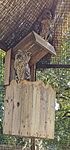 20240901_115537_resized