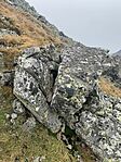 IMG_8524