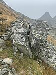 IMG_8527