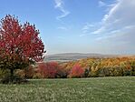 IMG_1326