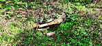 1728708696160