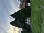IMG_8747