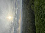 IMG_8711