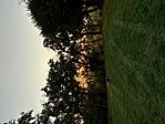 IMG_8574