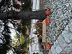 IMG_8794