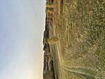 IMG_8792