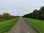 IMG_20241013_114232
