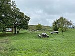 IMG_9514