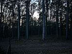 IMG_5137