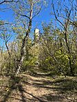 IMG_5251