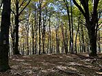 IMG_5360