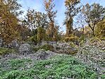 IMG_5388