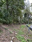IMG_1431