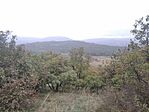 IMG_20241006_105727_1