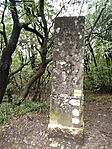 IMG_20241006_110107_1